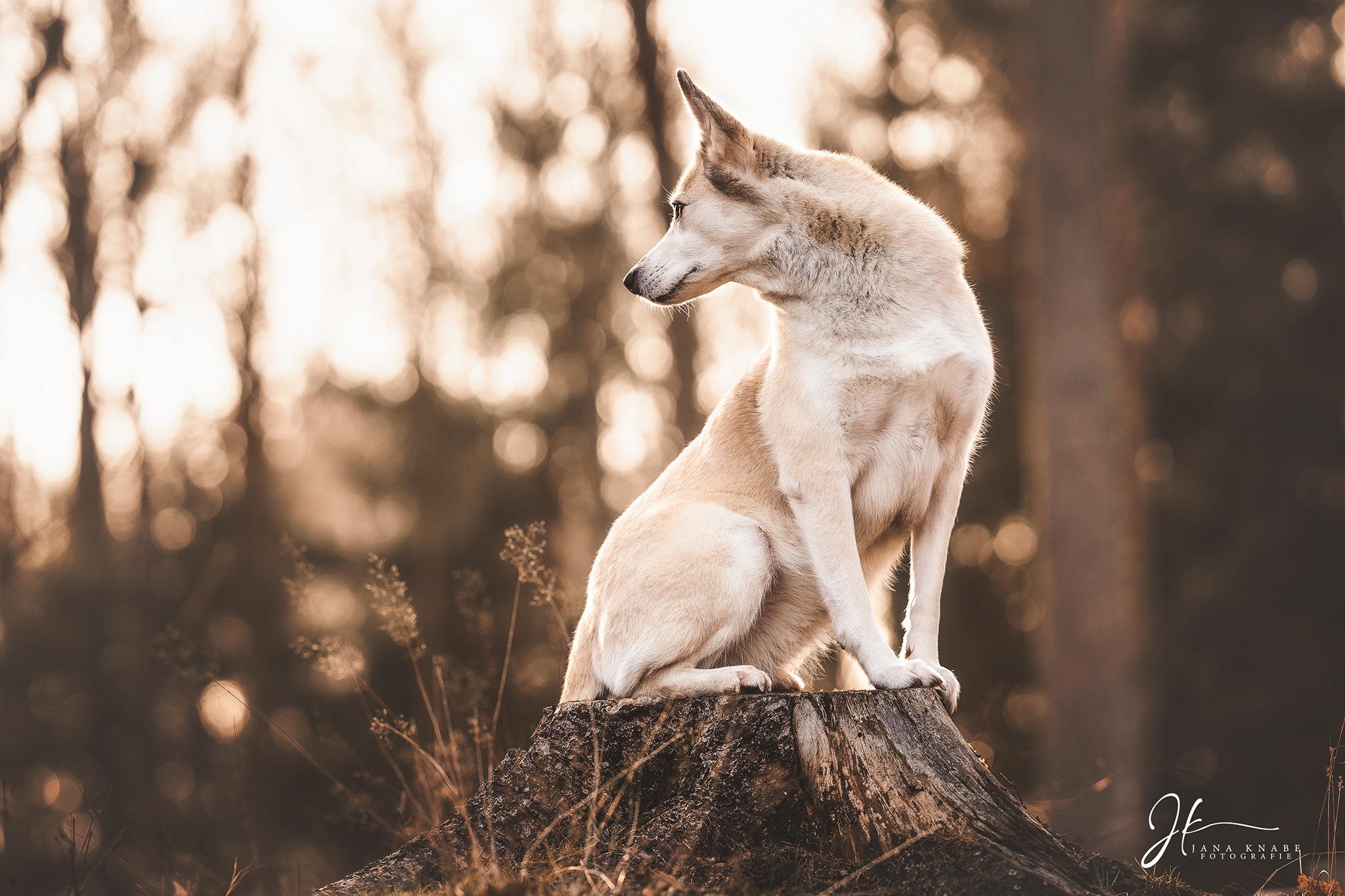 Web_Julia_4 Web_Julia_4